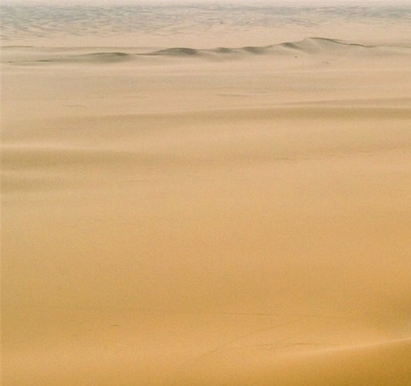 粉象生活vip提成