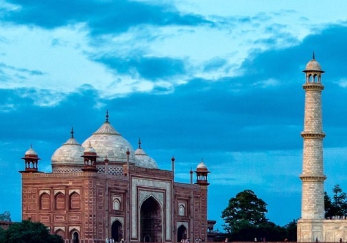 粉象生活团队最新消息