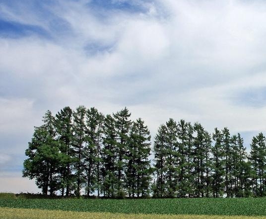 粉象生活户外推广
