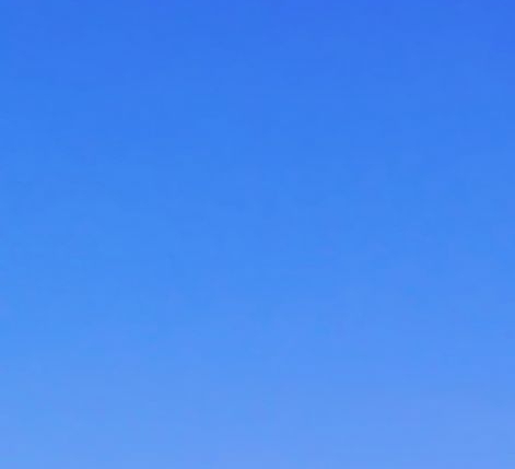 粉象生活月入过万文章