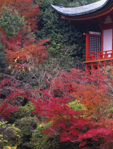 粉象生活下载版