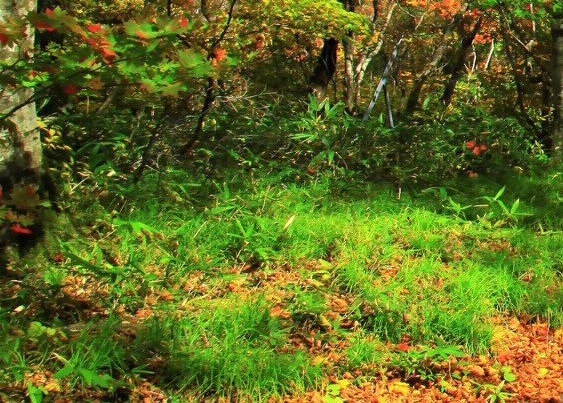 粉象生活注册的怎么查