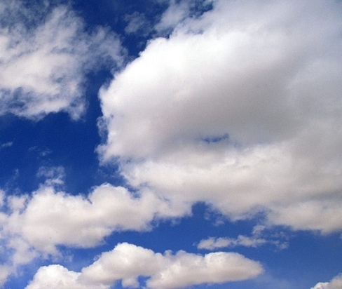 粉象生活能赚到钱吗