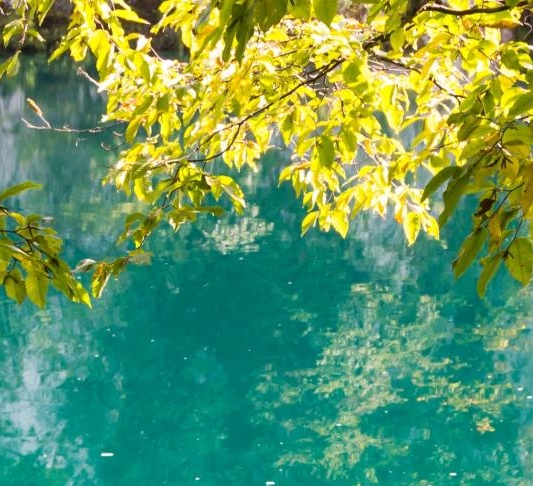 粉象生活下载app