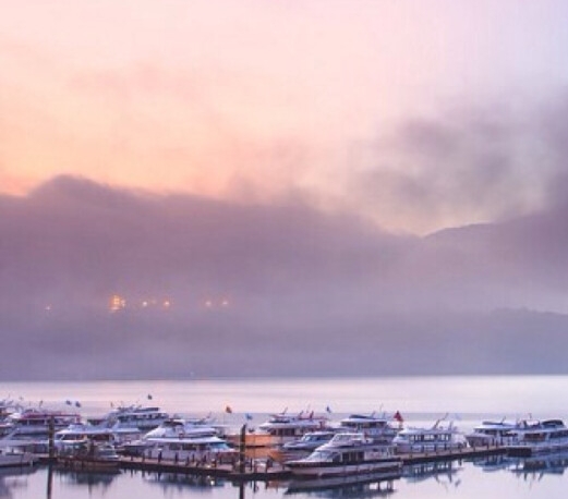 粉象生活邀请码