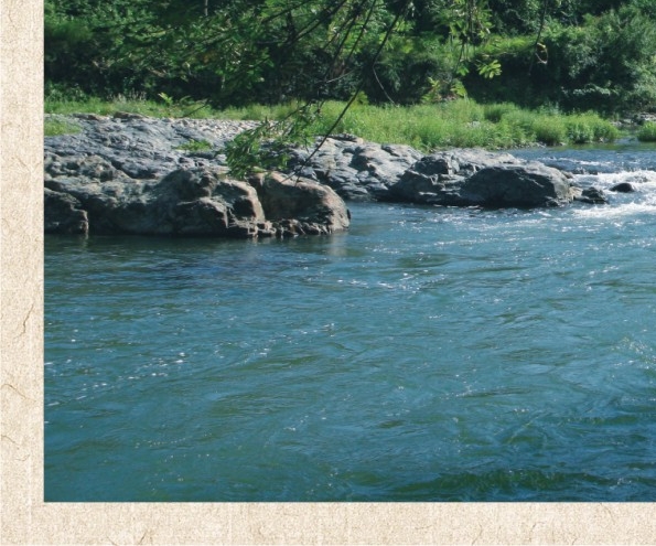 粉象生活可以注销重新注册吗