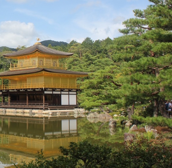 淘粉生活如何快速获得积分