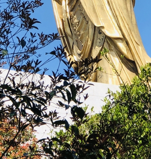 粉象没有邀请码