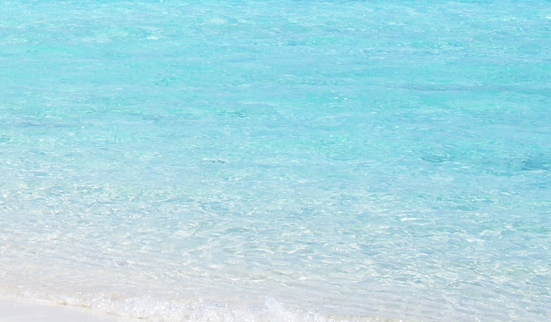 粉象生活下载app