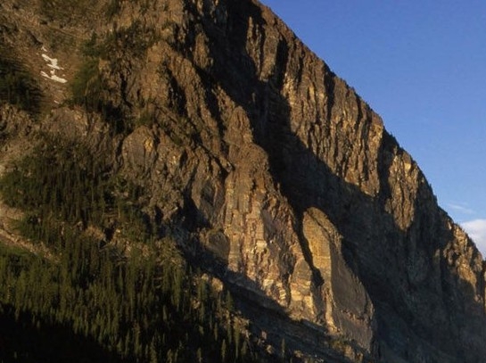 粉象生活新人福利界面