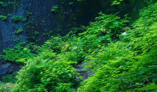 粉象生活补贴