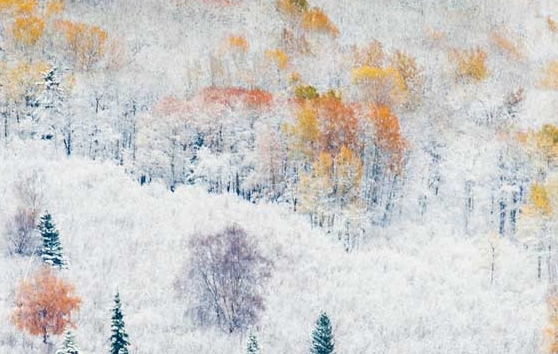 粉象生活自媒体怎么注册