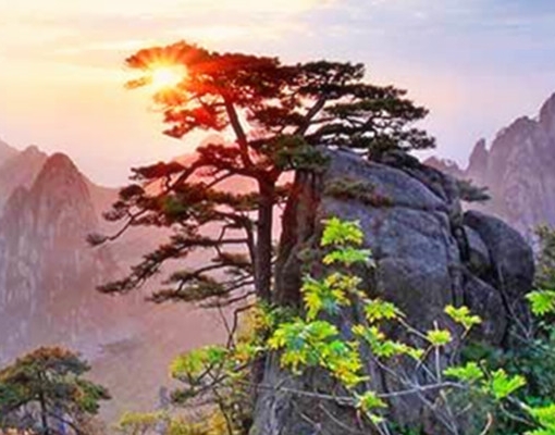 常州粉象生活下载