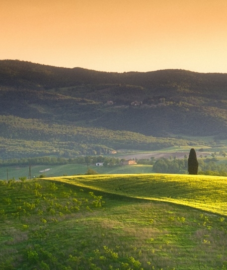 粉象生活没有邀请码怎么登陆