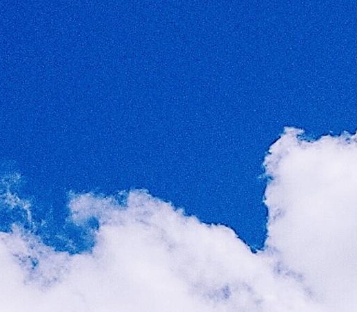 粉象生活ceo邀请码在哪