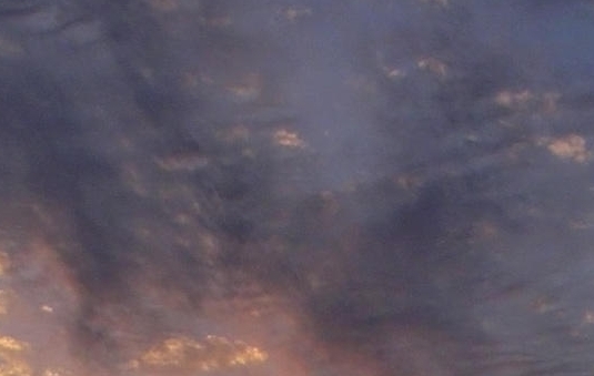 粉象生活邀请码填谁的最好