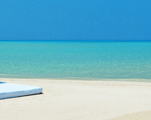 怎么更新粉象生活