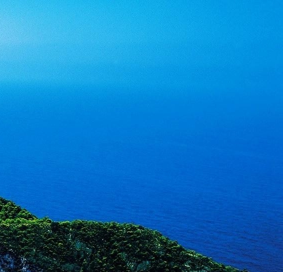粉象生活能赚到钱吗