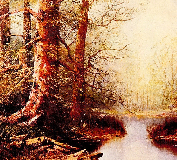 山东粉象生活软件