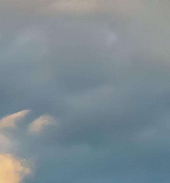 粉象生活app官网