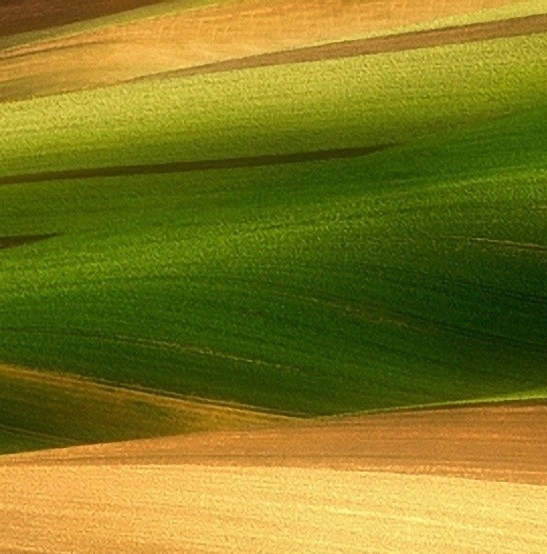 粉象生活怎么赚钱