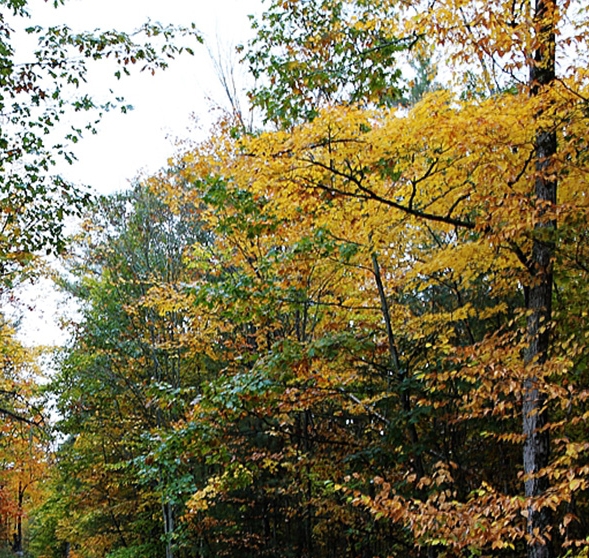 粉象生活不交钱能用吗