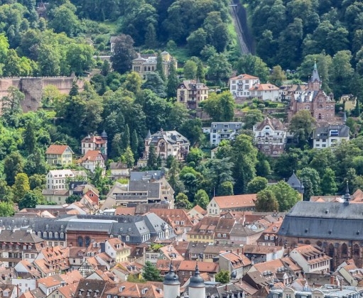 粉象生活粉丝怎么增加