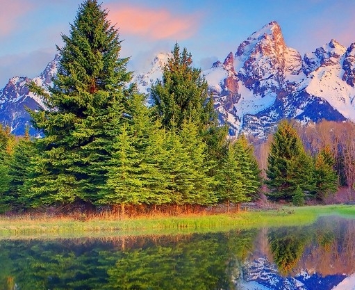 粉象生活能赚到钱吗