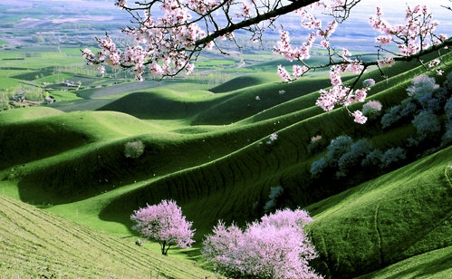 粉象生活怎么填写邀请码