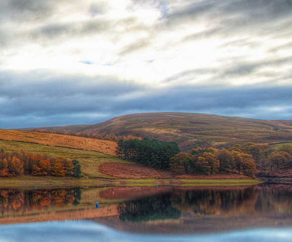 红包上的金粉是什么