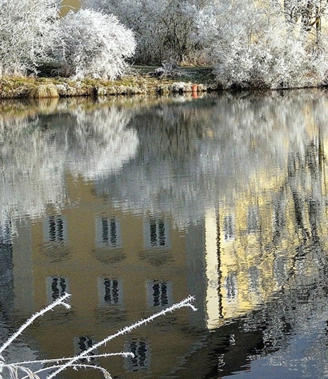 蜜源和买手妈妈哪个好