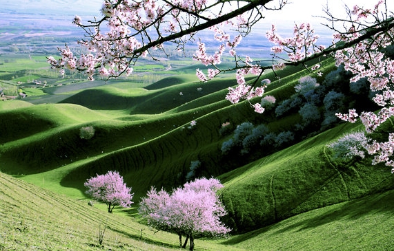 粉象生活一定要填邀请码吗