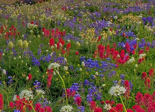 粉象生活怎么填别人的邀请码