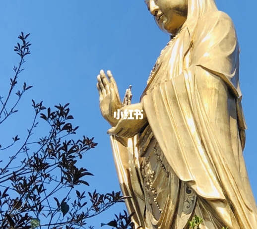 社交电商粉象生活的发展