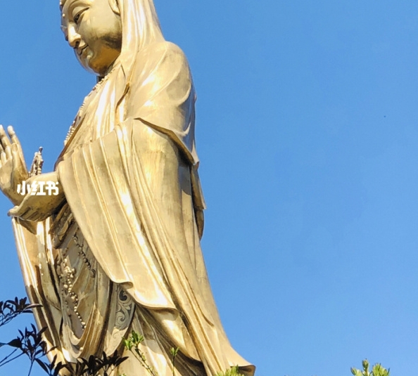 粉象生活怎么赚钱