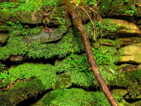 注册粉象生活有风险吗