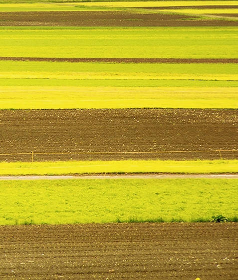 粉象生活免费代理