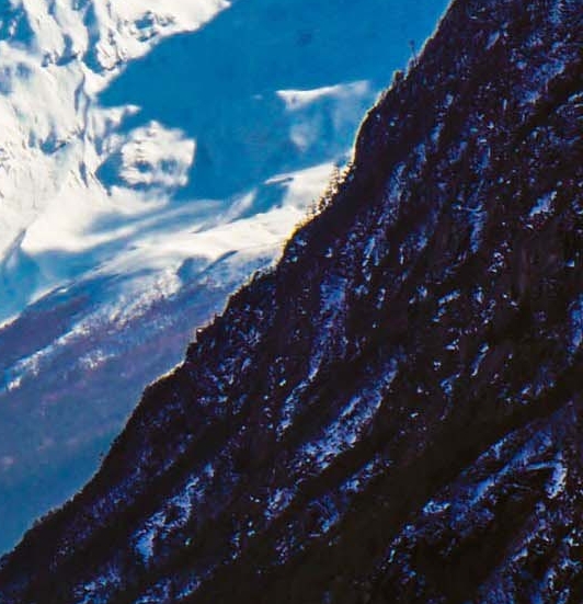 粉象生活dcm投资