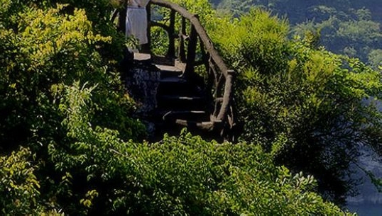 粉象生活app