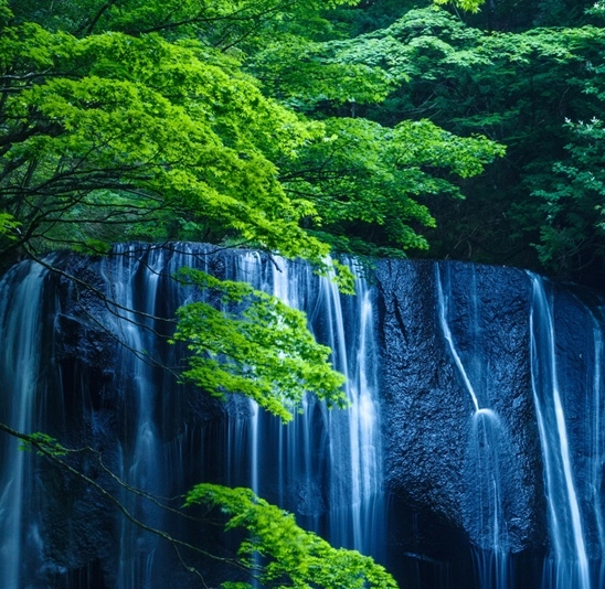 粉象生活攻略