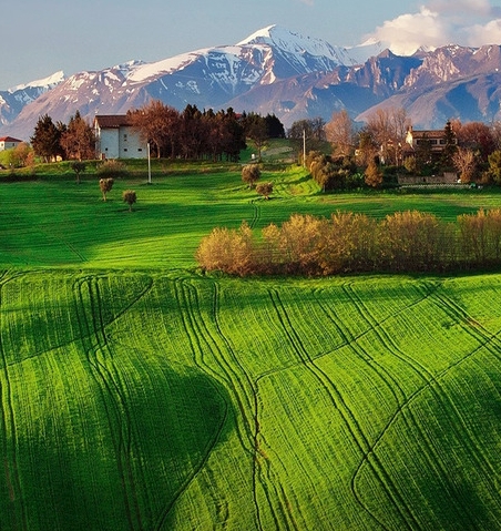 粉象生活下载app