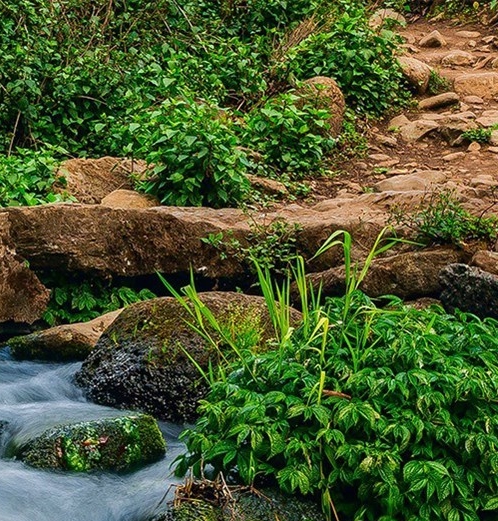 粉象如何赚佣金