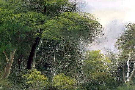 粉象生活没有邀请码