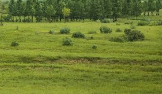 粉象生活邀请码可以改吗