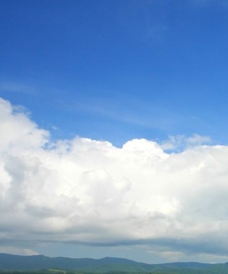 粉象生活公司注册