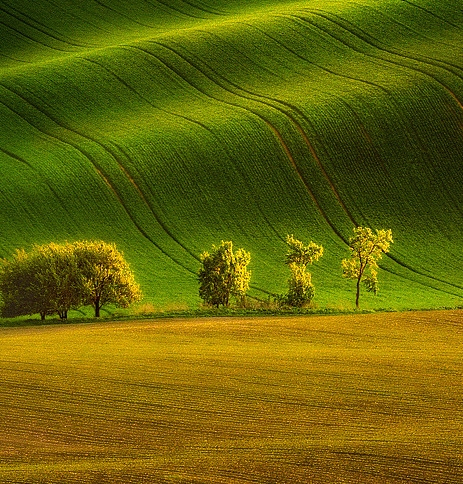 上海高端粉象生活软件