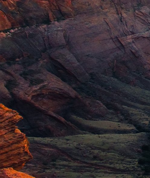 粉象生活邀请码