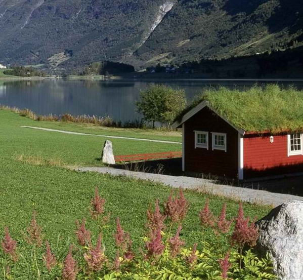 粉象生活怎么绑定头条号