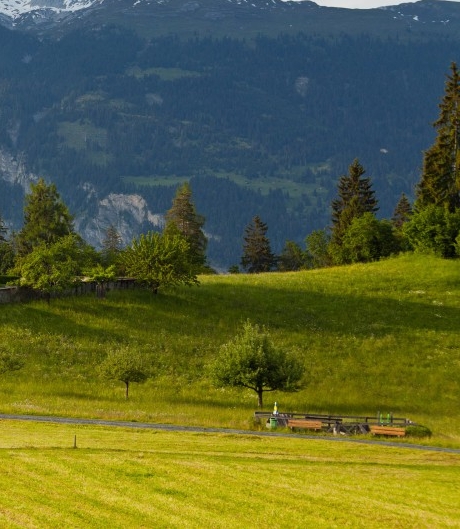 粉象生活郑州运营