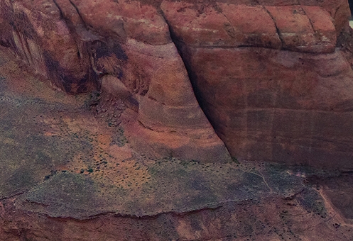 粉象生活里怎么找地址